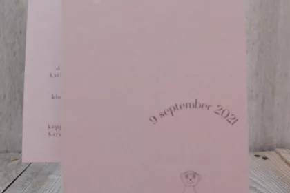 Bigger view of Geboortedrukwerk
